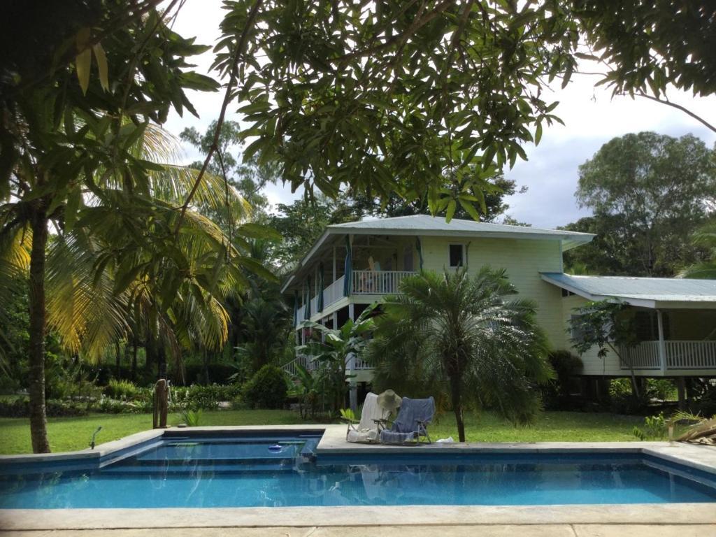 Sand Dollar Beach Bed & Breakfast Bocas del Toro Eksteriør billede