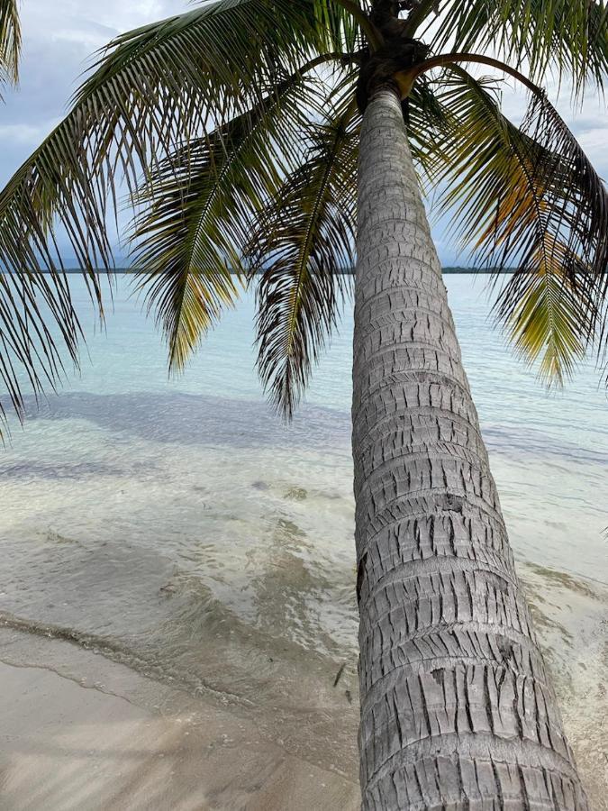 Sand Dollar Beach Bed & Breakfast Bocas del Toro Eksteriør billede