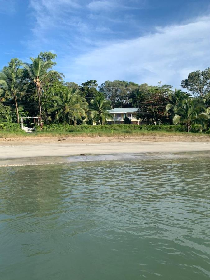 Sand Dollar Beach Bed & Breakfast Bocas del Toro Eksteriør billede