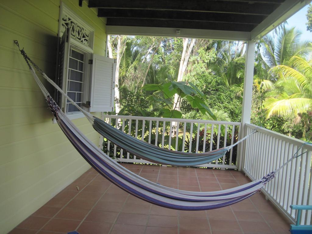 Sand Dollar Beach Bed & Breakfast Bocas del Toro Værelse billede