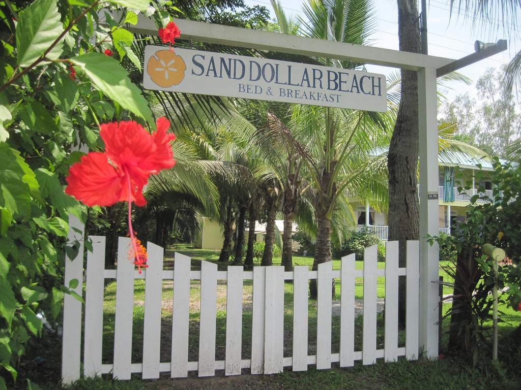 Sand Dollar Beach Bed & Breakfast Bocas del Toro Værelse billede
