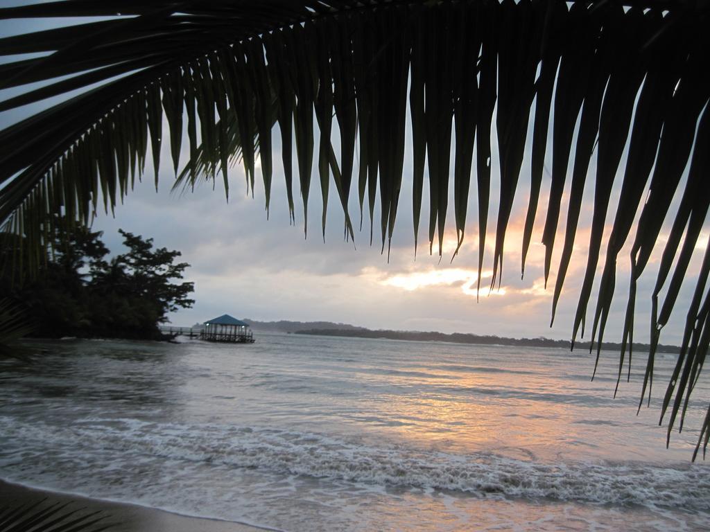 Sand Dollar Beach Bed & Breakfast Bocas del Toro Eksteriør billede