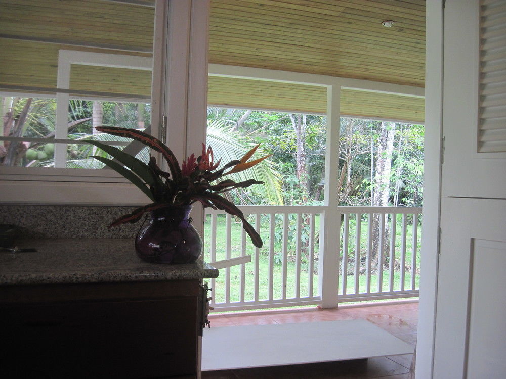 Sand Dollar Beach Bed & Breakfast Bocas del Toro Eksteriør billede