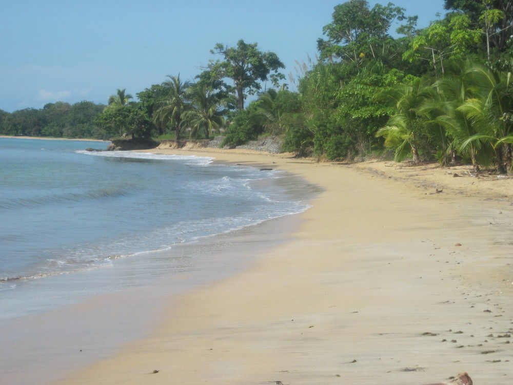 Sand Dollar Beach Bed & Breakfast Bocas del Toro Eksteriør billede