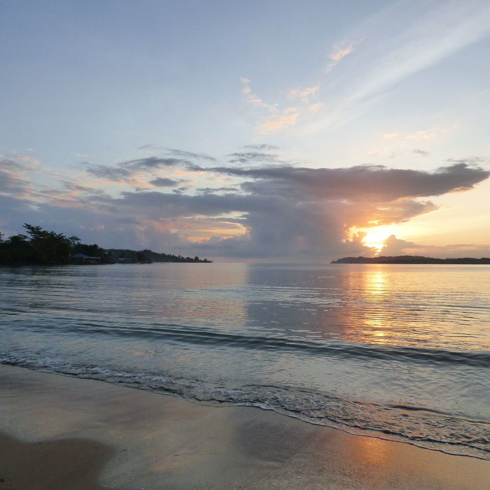 Sand Dollar Beach Bed & Breakfast Bocas del Toro Eksteriør billede